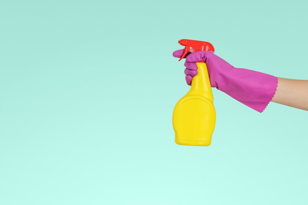 Deep cleaning service image